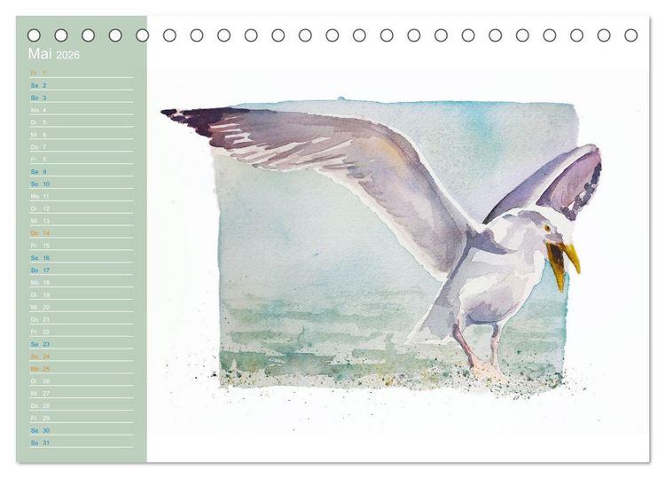 Produktbild: M&ouml;wen - Aquarelle von Julia Pasinski (Tischkalender 2026 DIN A5 quer), CALVENDO Monatskalender
