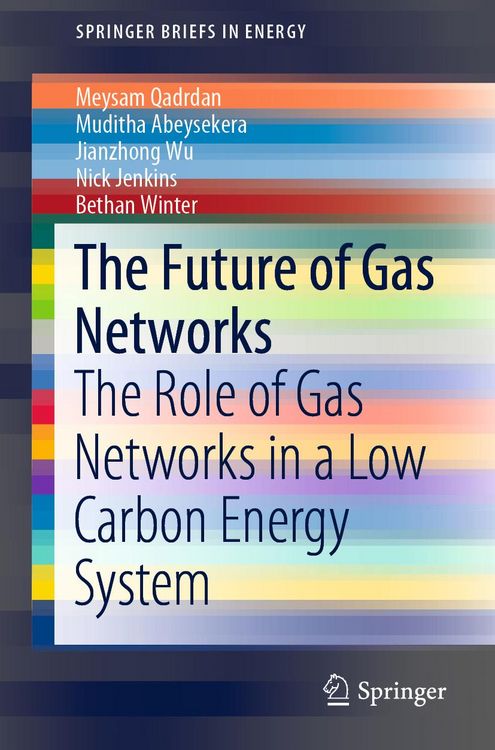 Produktbild: The Future of Gas Networks