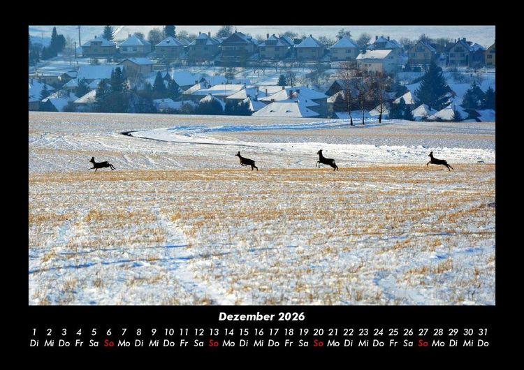 Produktbild: Bilder der Natur 2026 Fotokalender DIN A3