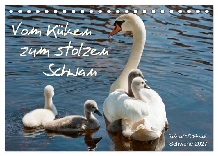 Produktbild: Vom K&uuml;ken zum stolzen Schwan (Tischkalender 2027 DIN A5 quer), CALVENDO Monatskalender