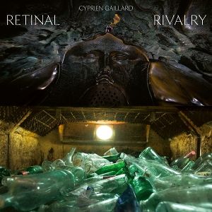Produktbild: Retinal Rivalry (Picture Disc)