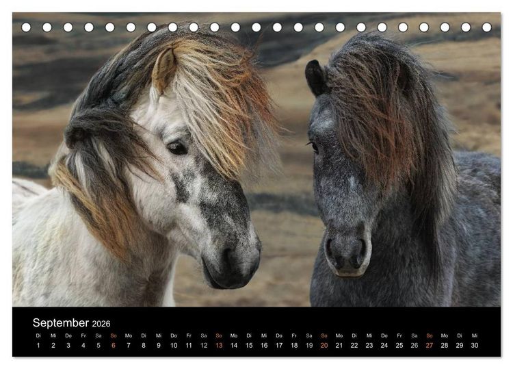 Produktbild: Island - wundervolle Weite (Tischkalender 2026 DIN A5 quer), CALVENDO Monatskalender