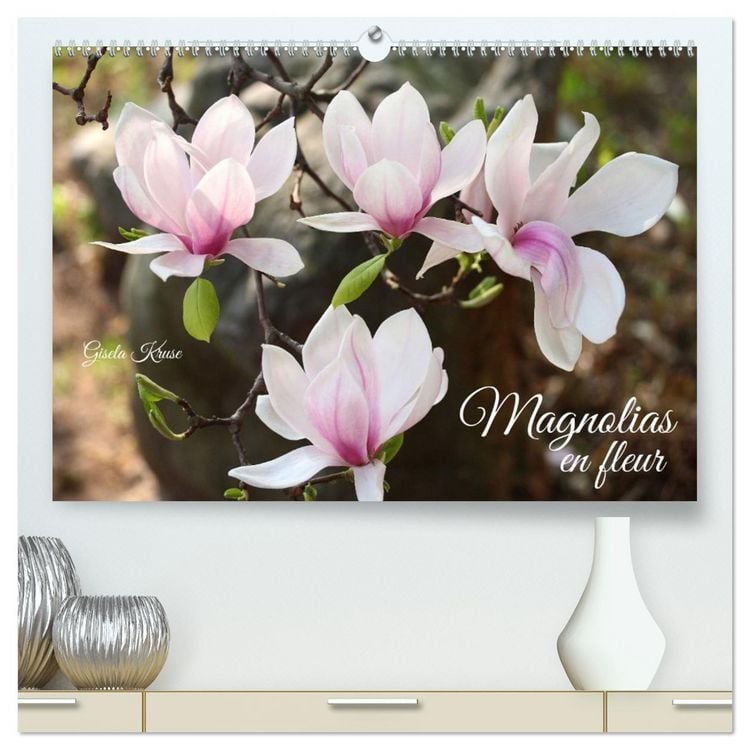 Produktbild: Magnolias en fleur (Calendrier mural 2026 DIN A2 vertical) calendrier de bureau