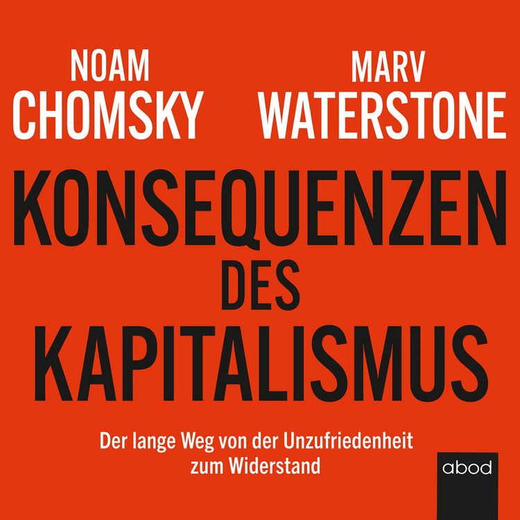Produktbild: Konsequenzen des Kapitalismus