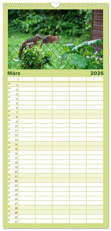 Produktbild: Familienplaner 2026 - Spa&szlig; mit Eichh&ouml;rnchen-Kindern mit 5 Spalten (Wandkalender, 21 x 45 cm) CALVENDO