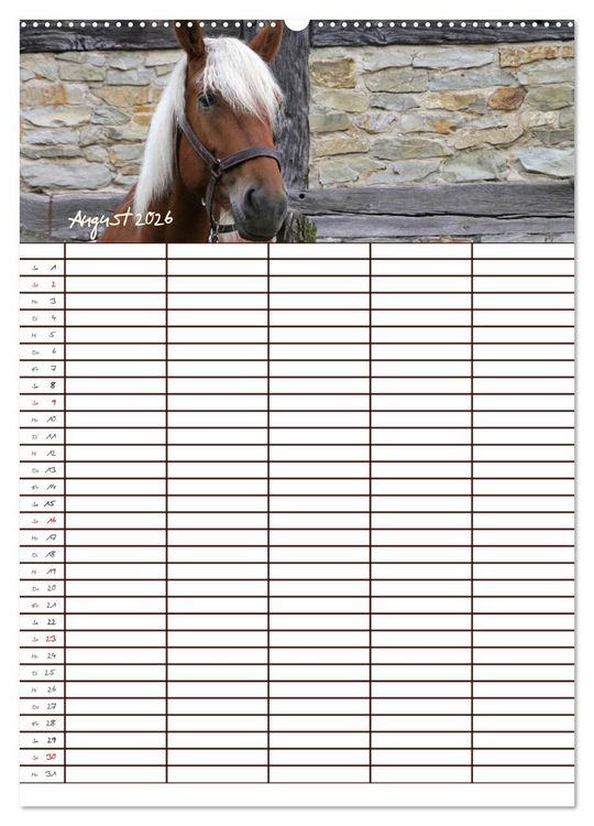 Produktbild: Der Kaltblut-Familienplaner (Wandkalender 2026 DIN A2 hoch), CALVENDO Monatskalender