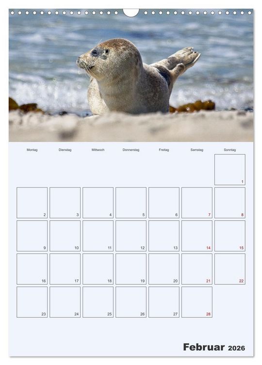 Produktbild: Wildes Leben auf Helgoland (Wandkalender 2026 DIN A3 hoch), CALVENDO Monatskalender
