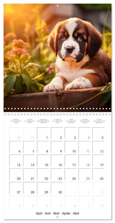 Produktbild: Cute PUPPY PERSONALITIES (Wall Calendar 2026 12 &times; 12 Inch) CALVENDO 12 Month Wall Calendar