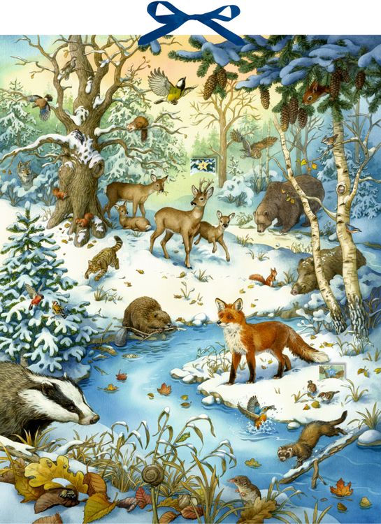 Produktbild: Die Tiere im Winterwald und ..., Zettel-Adventskalender