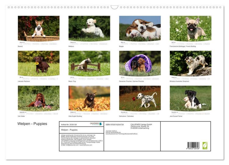 Produktbild: Welpen - Puppies (Wandkalender 2026 DIN A2 quer), CALVENDO Monatskalender