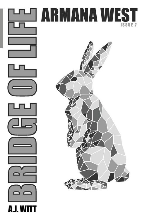 Produktbild: Bridge of Life