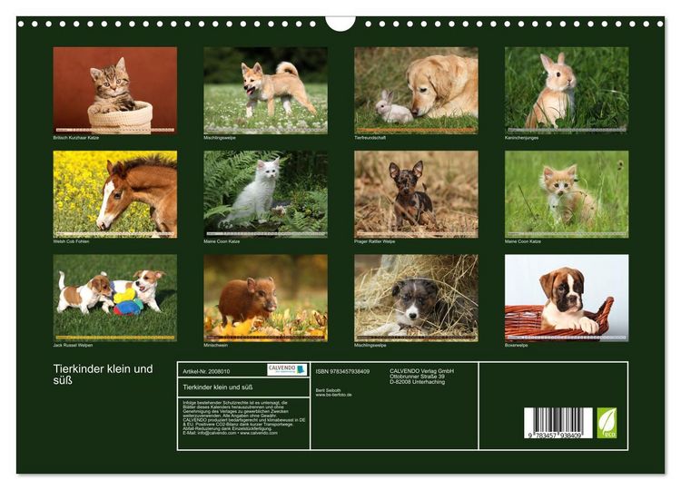 Produktbild: Tierkinder klein und s&uuml;&szlig; (Wandkalender 2026 DIN A3 quer), CALVENDO Monatskalender