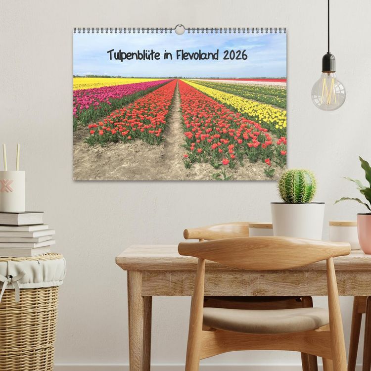Produktbild: Tulpenbl&uuml;te in Flevoland 2026 (Wandkalender 2026 DIN A3 quer), CALVENDO Monatskalender