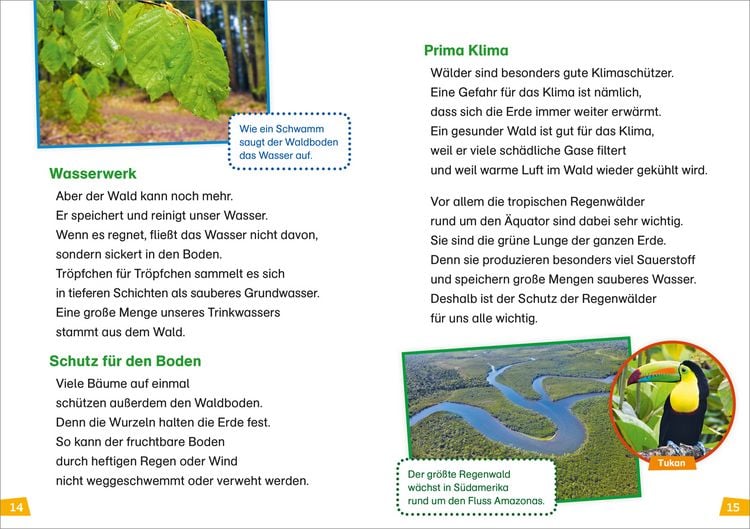 Produktbild: WAS IST WAS Erstes Lesen Band 6. Wald