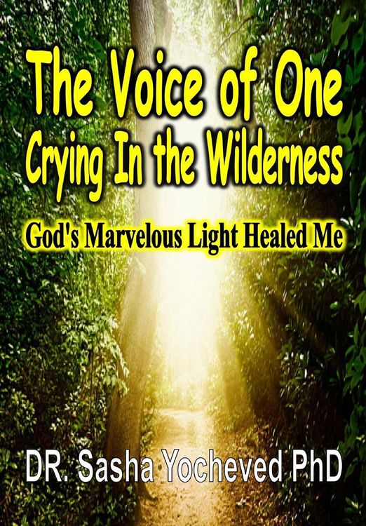 Produktbild: The Voice of One Crying In the Wilderness