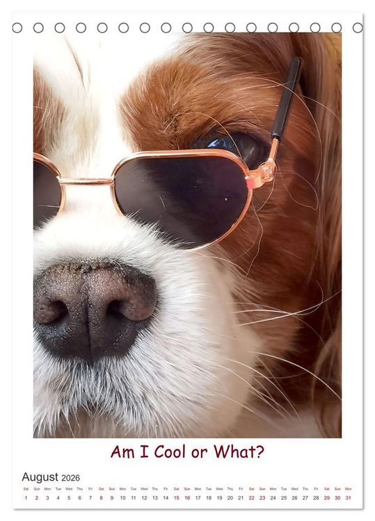 Produktbild: The Adventurous Life of two Daring Cavaliers (Desk Calendar 2026 DIN A5 portrait), CALVENDO 12 Month DeskCalendar