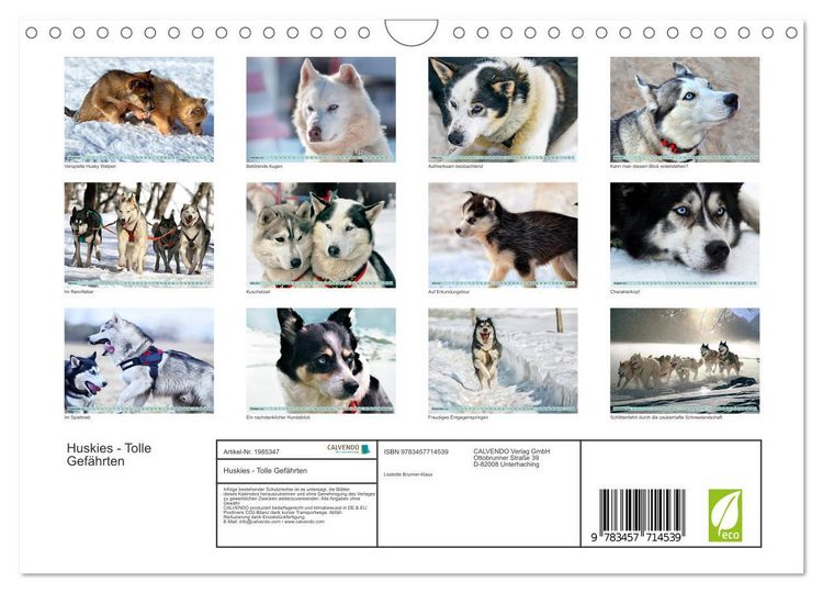 Produktbild: Huskies - Tolle Gef&auml;hrten (Wandkalender 2026 DIN A4 quer), CALVENDO Monatskalender