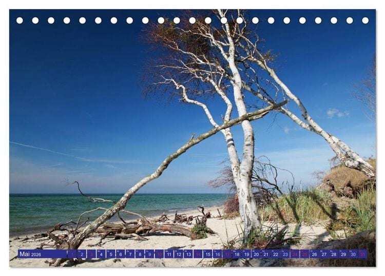 Produktbild: Weststrand Dar&szlig; (Tischkalender 2026 DIN A5 quer), CALVENDO Monatskalender