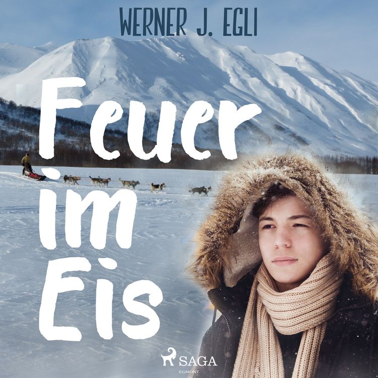 Produktbild: Feuer im Eis