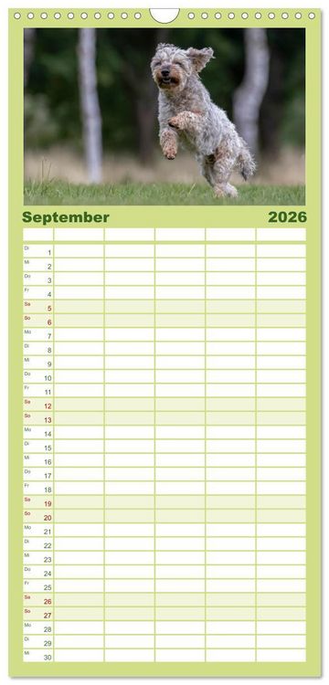 Produktbild: Familienplaner 2026 - Hunde Action mit 5 Spalten (Wandkalender, 21 x 45 cm) CALVENDO