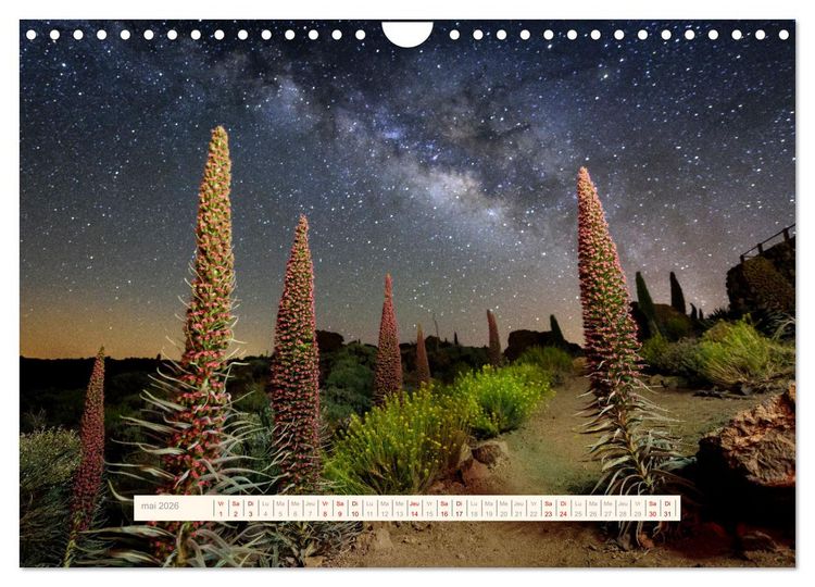 Produktbild: La Magie de T&eacute;n&eacute;riffe (Calendrier mural 2026 DIN A4 vertical), CALVENDO calendrier mensuel
