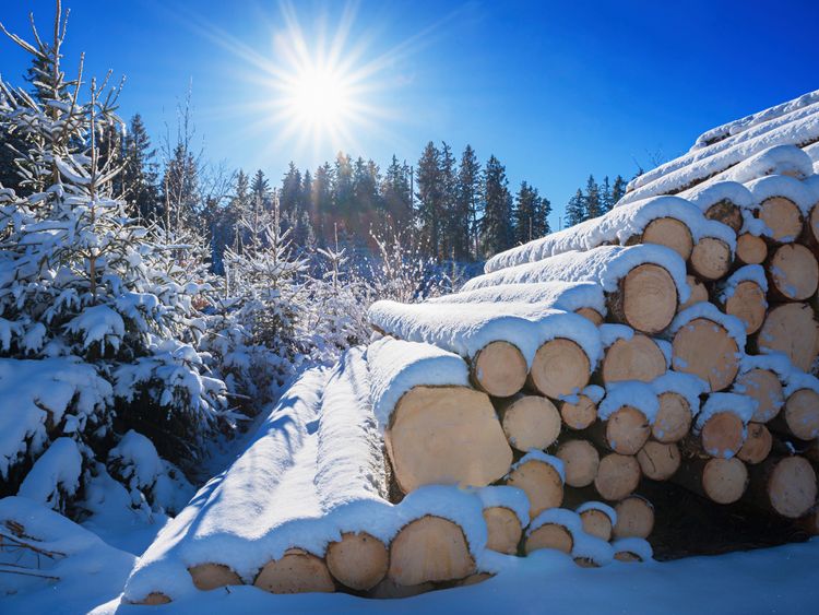 Produktbild: CALVENDO Puzzle Winterwald 1000 Teile Lege-Gr&ouml;&szlig;e 64 x 48 cm Foto-Puzzle Bild von SusaZoom