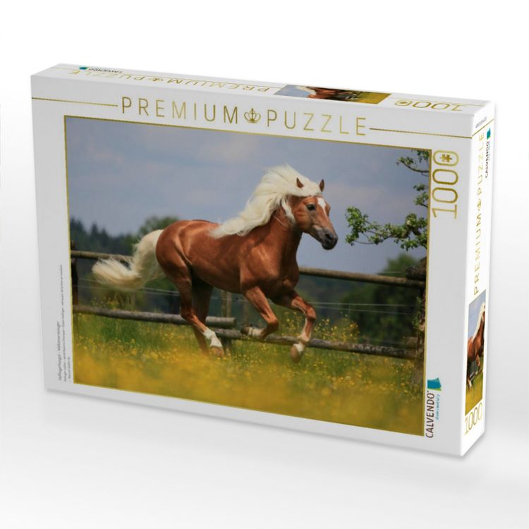Produktbild: CALVENDO Puzzle Haflingerhengst - Weltreservesieger | 1000 Teile Lege-Gr&ouml;&szlig;e 64x48cm Foto-Puzzle f&uuml;r gl&uuml;ckliche Stunden