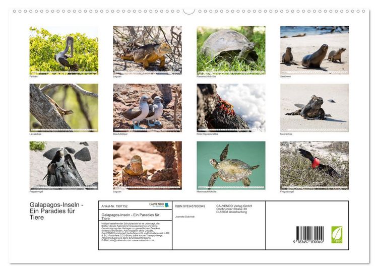 Produktbild: Galapagos-Inseln - Ein Paradies f&uuml;r Tiere (hochwertiger Premium Wandkalender 2026 DIN A2 quer), Kunstdruck in Hochglanz