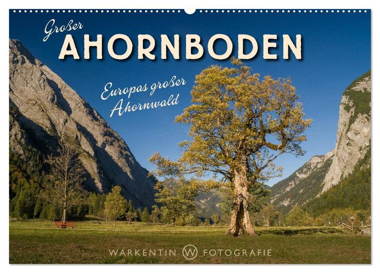 Produktbild: Gro&szlig;er Ahornboden - Europas gro&szlig;er Ahornwald (Wandkalender 2026 DIN A2 quer), CALVENDO Monatskalender