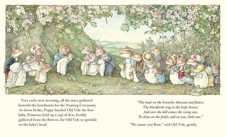 Produktbild: Adventures in Brambly Hedge