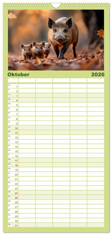 Produktbild: Familienplaner 2026 - Wilde Tierwelt im Wald mit 5 Spalten (Wandkalender, 21 x 45 cm) CALVENDO