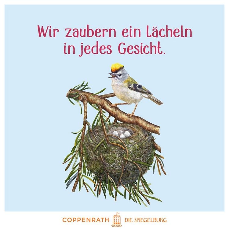 Produktbild: Das gro&szlig;e Buch vom Tannenbaum