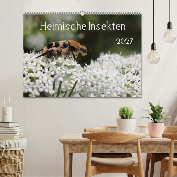 Produktbild: Heimische Insekten 2027 (Wandkalender 2027 DIN A2 quer), CALVENDO Monatskalender
