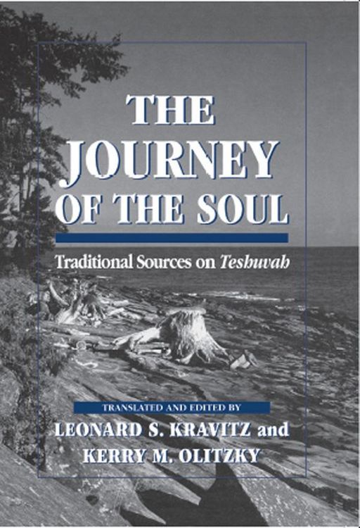 Produktbild: The Journey of the Soul