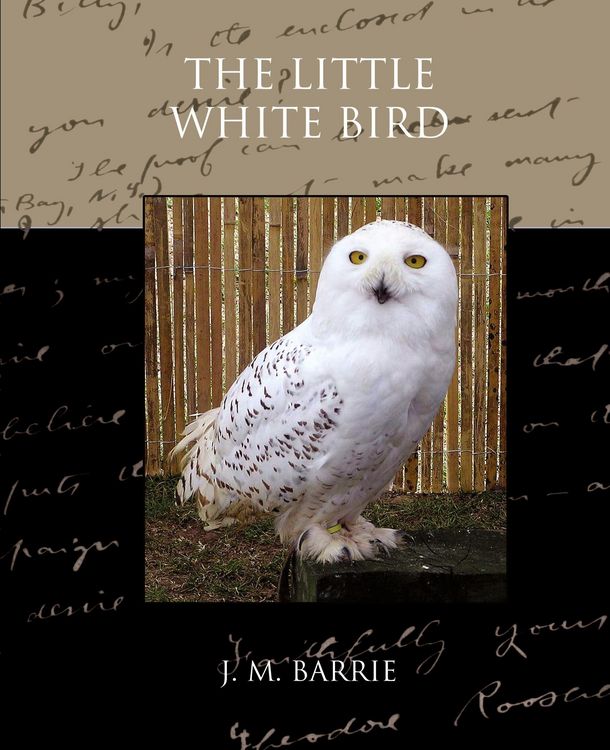 Produktbild: The Little White Bird