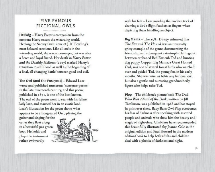 Produktbild: RSPB Pocket Book of Owls