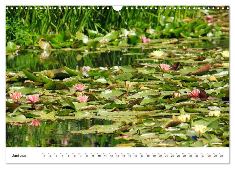 Produktbild: Normandie - zwischen Land und Meer (Wandkalender 2026 DIN A3 quer), CALVENDO Monatskalender