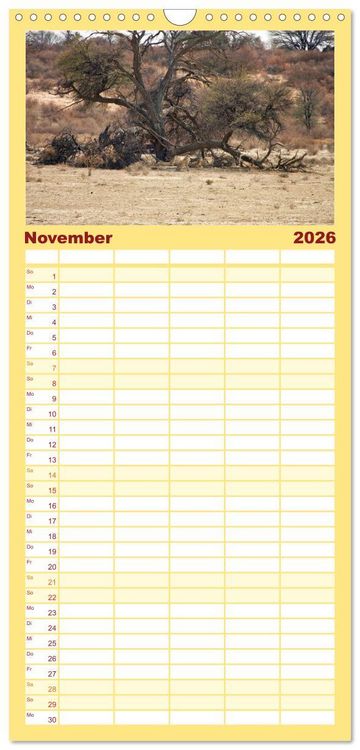 Produktbild: Familienplaner 2026 - Kgalagadi - Fauna und Wildtiere in der Kalahari mit 5 Spalten (Wandkalender, 21 x 45 cm) CALVENDO