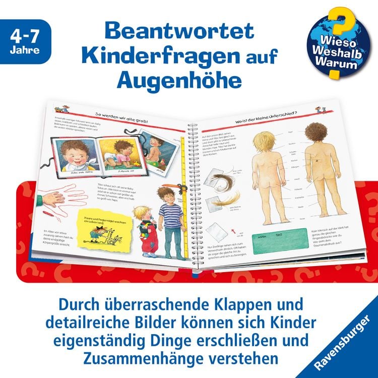 Produktbild: Wieso? Weshalb? Warum? Kernreihe, Band 1 - Wir entdecken unseren K&ouml;rper