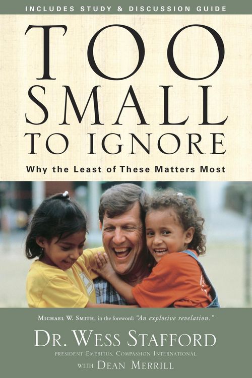 Produktbild: Too Small to Ignore