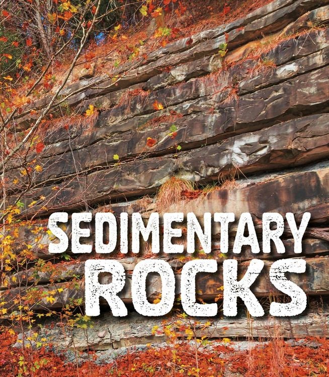 Produktbild: Sedimentary Rocks