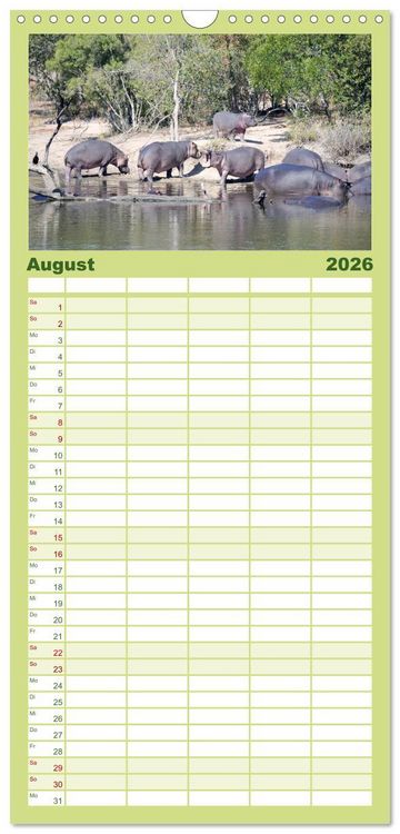 Produktbild: Familienplaner 2026 - Nilpferde, Kolosse im Wasser mit 5 Spalten (Wandkalender, 21 x 45 cm) CALVENDO