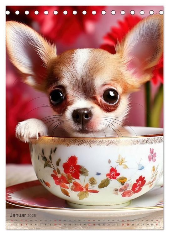 Produktbild: Kaffeepause mit Chihuahua - Kleine Freunde in gro&szlig;en Tassen (Tischkalender 2026 DIN A5 hoch), CALVENDO Monatskalender