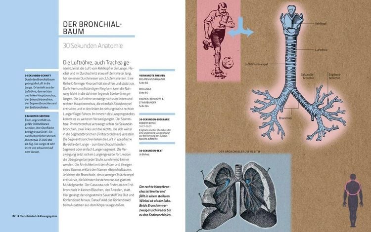 Produktbild: Anatomie und Medizin in 30 Sekunden