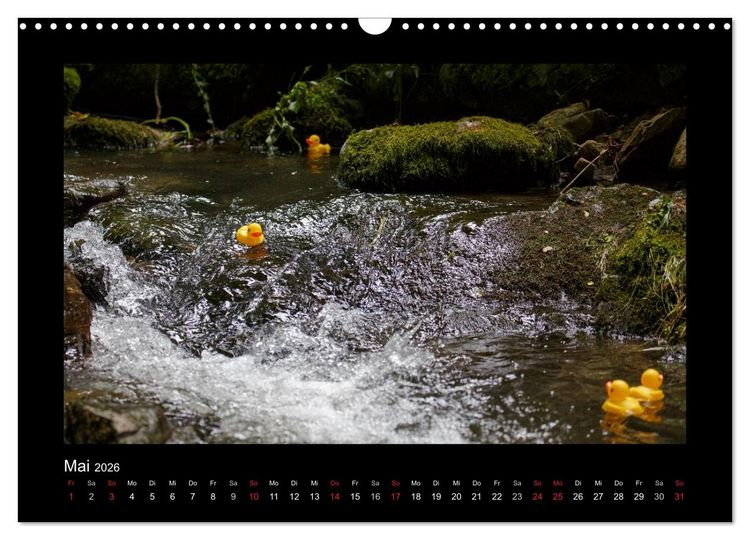 Produktbild: Enten-Rennen (Wandkalender 2026 DIN A3 quer), CALVENDO Monatskalender