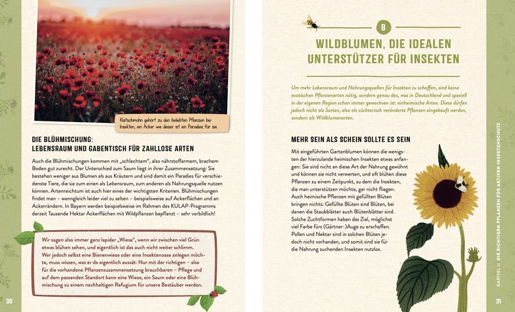Produktbild: Die Insektenwiese: So summt & brummt es garantiert!