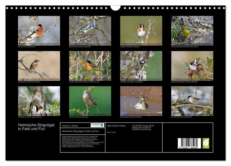 Produktbild: Heimische Singv&ouml;gel in Feld und Flur (Wandkalender 2026 DIN A3 quer), CALVENDO Monatskalender