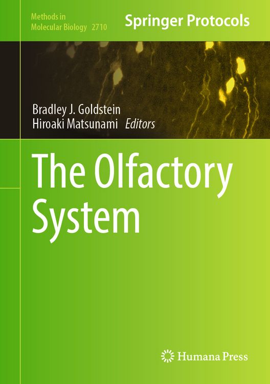 Produktbild: The Olfactory System