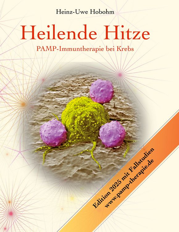 Produktbild: Heilende Hitze