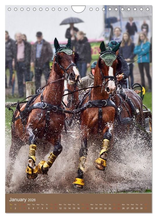 Produktbild: Carriage Driving - Horses in Action (Wall Calendar 2026 DIN A4 portrait), CALVENDO 12 Month Wall Calendar